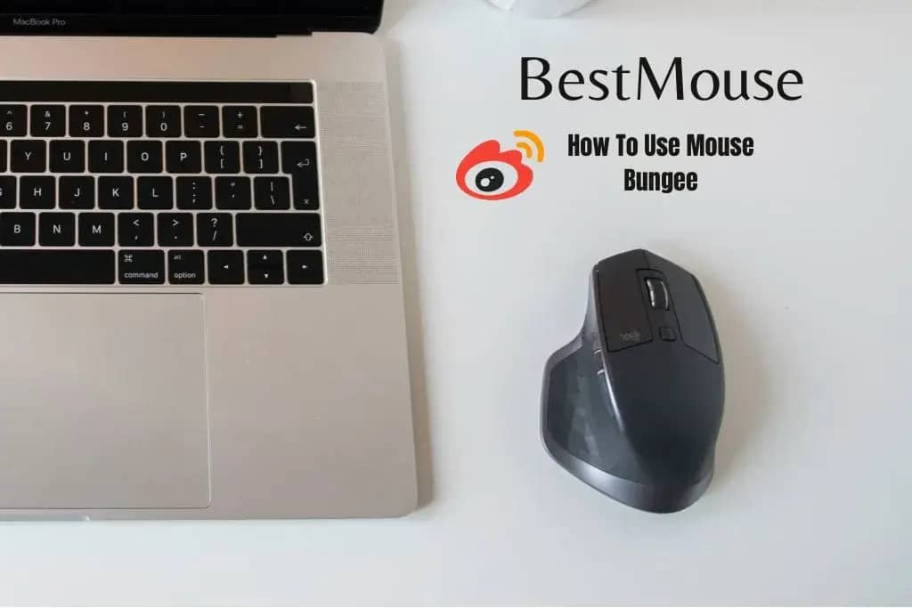 How To Use Mouse Bungee: All You Need To Know
